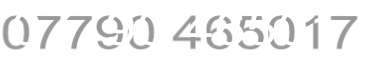07790 465017
